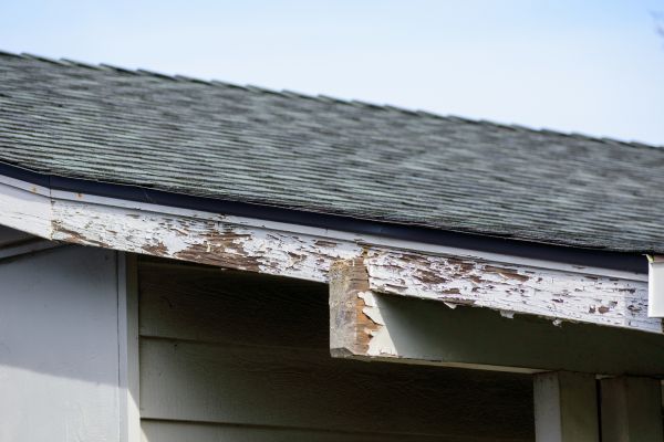 Ocala Wood Rot Repair