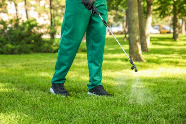Ocala Lawn Treatment