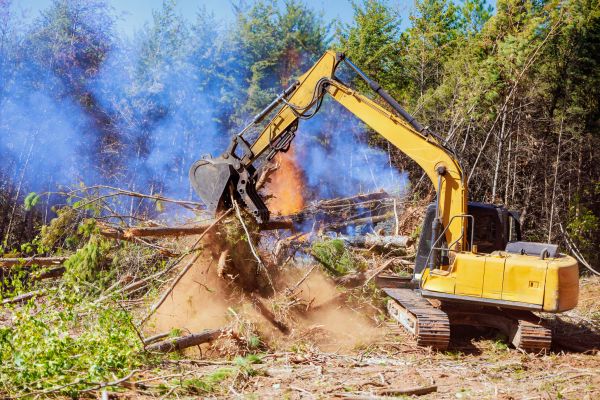 Ocala Land Clearing
